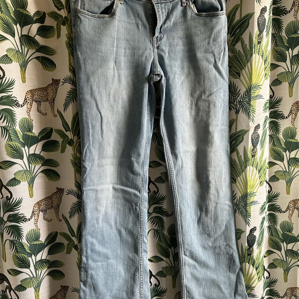 Bundle of size 13 hollister jeans